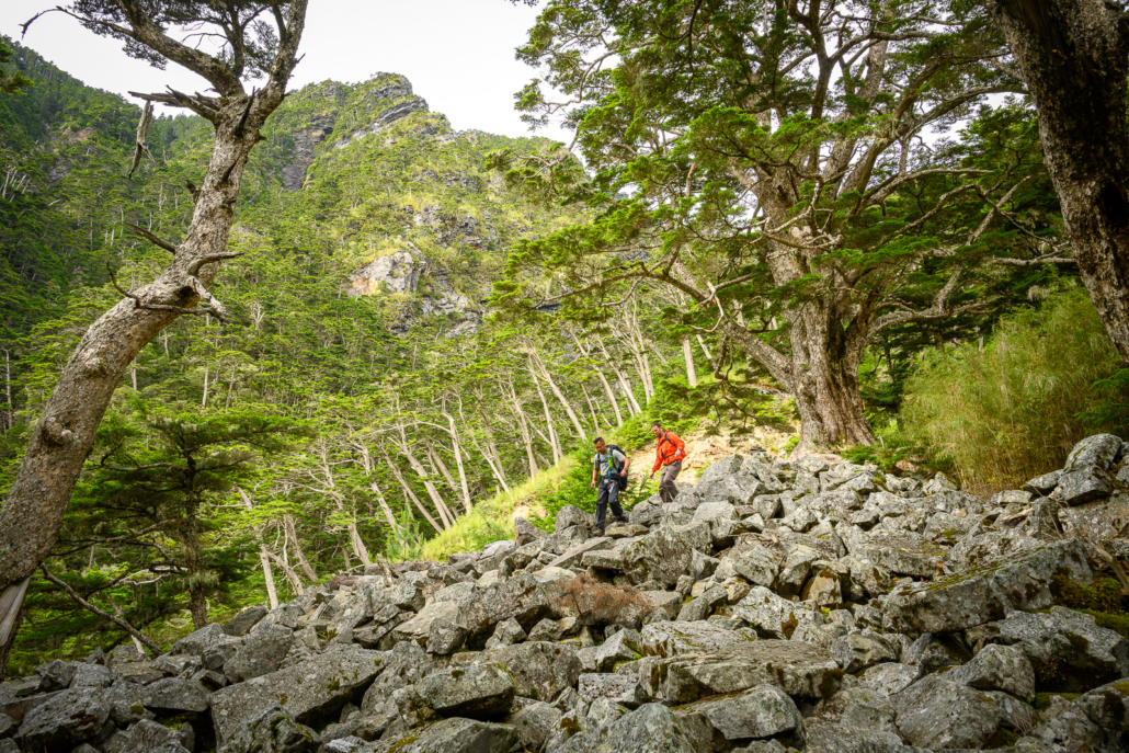 Hiking Taiwan's Holy Ridge Y Route